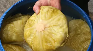 Câtă sare pui la varza murată? Regula simplă pentru o fermentare reușită