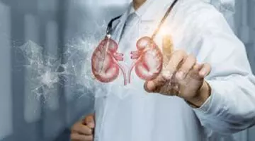 TOP 4 alimente de consumat, pentru sănătatea rinichilor. Previn litiaza renală  