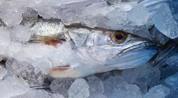 Metoda greșită de a dezgheța peștele congelat te poate îmbolnăvi grav