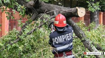 Furtună violentă în București și Ilfov. Un bărbat a murit după ce un copac a căzut peste mașina în care se afla