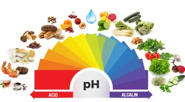 Mitul „alcalinizării” organismului poate face mai mult rău decât bine. Adevărul despre aciditate, boală și dieta promovată ca miracol