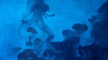 Descoperire surprinzătoare. O terapie simplă ar putea elimina celulele reziduale din cancerul de sân