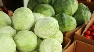 Când se pune varza la murat? Perioada potrivită și semnele că este gata
