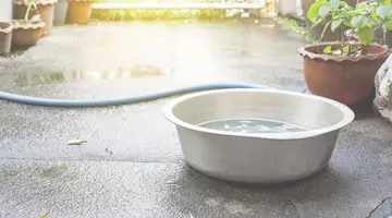 Ce înseamnă când visezi un lighean