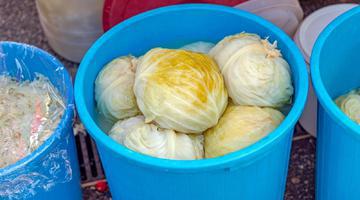 De ce nu se acrește varza la murat și ce trebuie să faci