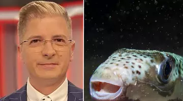 Cum arată mușcătura de pește-iepure, pericolul de pe litoralul grecesc 😮 Prezentatorul TV Marius Niță a publicat o imagine cu rana provocată de această specie / FOTO
