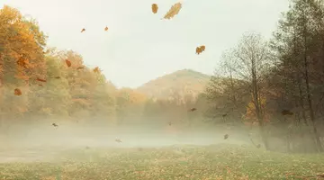 Cod galben de vânt puternic în șapte județe din România. Vremea în perioada 27-30 septembrie 2026