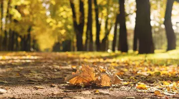 Temperaturi de -5 grade la munte, dimineața și peste 27 grade, în timpul zilei, în vestul țării. Prognoza meteo ANM pentru perioada 4-12 octombrie 2026