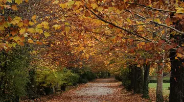 Cum va fi vremea în perioada 7 septembrie-5 octombrie 2026, în România. ANM a anunțat unde va fi mai cald