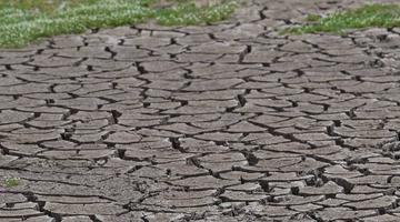 Cum ar putea „Godzilla” El Niño să schimbe lumea, mai ales Europa