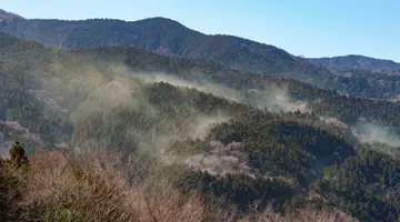 Japonia pierde 1.600.000.000 de dolari pe zi pentru o greșeală banală din anii ’50. Ce este „norul” invizibil care a îmbolnăvit jumătate de țară