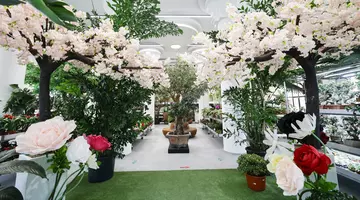 Mall-ul de plante din București are cinci niveluri cu peste 1.200 de soiuri, ghivece inteligente și un mesteacăn artificial care costă cât un apartament