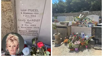 Locul unde este înmormântată Brigitte Bardot: „Merita mausoleu, e legendă. Dar așa a vrut ea”