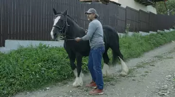 Dragoș Bucur a făcut recenzia animalelor de la țară. Ce crește în curte după ce s-a mutat din București: „La casă treaba nu se termină niciodată”