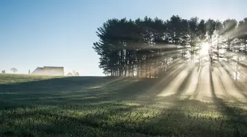 România trece de la temperaturi de 0 la 25 de grade într-o singură zi. Zona în care vântul va atinge 70 km/h