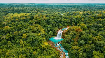 În 1948, Costa Rica și-a desființat definitiv armata. Banii economisiți au transformat țara în lider mondial al reîmpăduririi, dublându-și suprafața forestieră