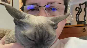 Tragedie! Moarte înfiorătoare, violentă, pentru una dintre cele mai iubite actrițe! Nimic nu putea prevesti așa sfârșit brutal!