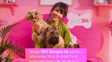 Preț fix la energie pentru afacerile mici, pe o perioadă de 26 de luni