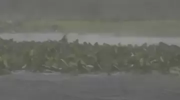 S-au rupt norii!! Ploaia a facut ravagii