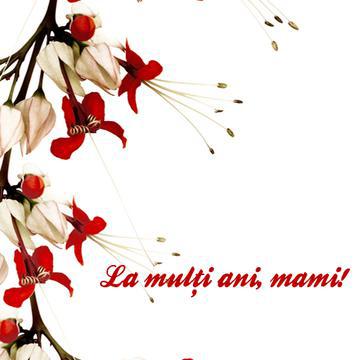 Imagini De 8 Martie Felicitari Si Mesaje De Ziua Mamei