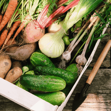 (P) Soluții de la NuOricum pentru o grădină rodnică - susținătoarea unei alimentații sănătoase