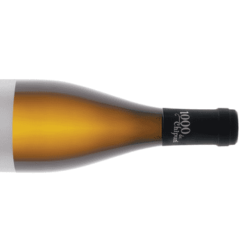 „Vinul tău din via ta”: Sauvignon Blanc 2021 de la Crama „1000 de Chipuri” / De ce să cumperi doar o sticlă, când poți avea tot butașul?