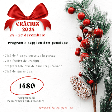 Crăciun 2024 la Hotel Valea cu Pești, Transfăgărășan - Argeș - Tradiție, peisaje de poveste și relaxare în Inima Naturii!