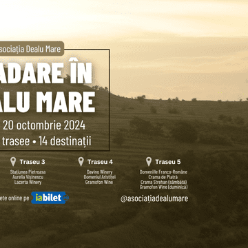 Evadare în Dealu Mare: Descoperă podgoriile și vinurile excepționale ale României într-un weekend de neuitat!