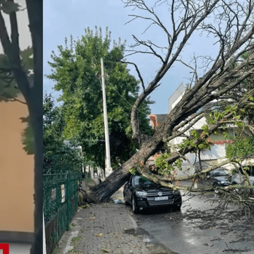 Detalii halucinante despre femeia care a fost ucisă în casă de furtuna din Bucureşti. Victima se afla pe canapea cu copilul ei de 15 ani