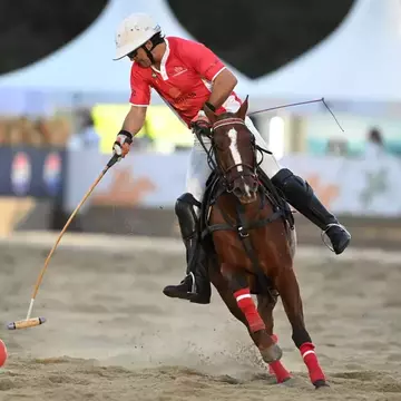 Singureni Manor Polo Cup 2025. Începe a doua ediție a primului turneu internațional de polo călare organizat în România