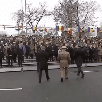 Cine este misterioasa doamnă cu pălărie galbenă. A stat în prima linie la Parada Militară de 1 Decembrie și a dat mâna cu Traian Băsescu