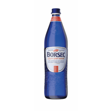 Apa minerală natural carbogazoasă Borsec – adevărata putere a electroliților naturali