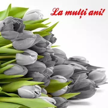 La mulţi ani!