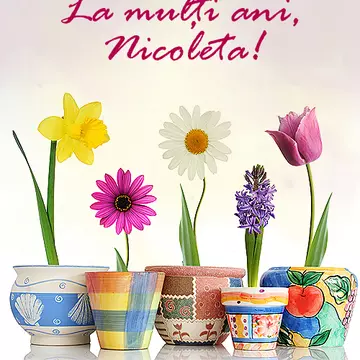 Sf. Nicolae