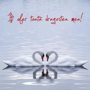 Ziua Îndrăgostiţilor