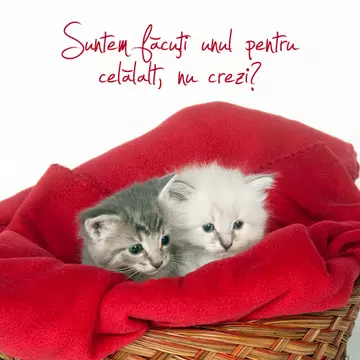 Ziua Îndrăgostiţilor