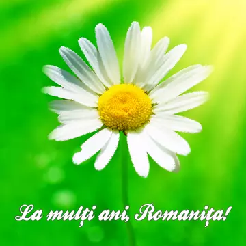 Romanita
