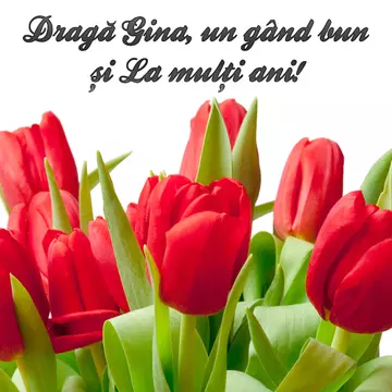 La multi ani, Gina!