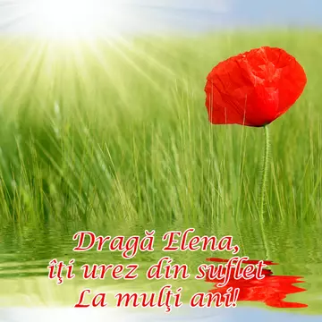 La multi ani, Elena!