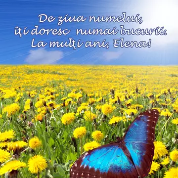 La multi ani, Elena!