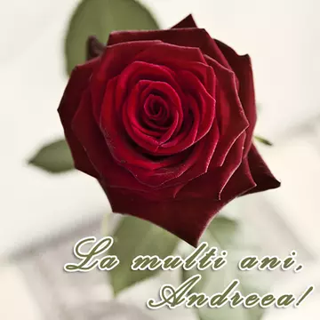 La multi ani, Andreea!
