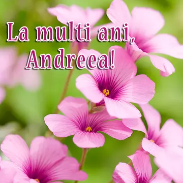 La multi ani, Andreea!