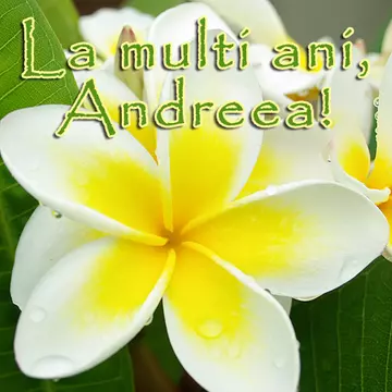 La multi ani, Andreea!