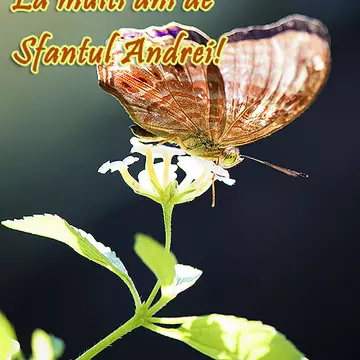 La multi ani, Andrei!