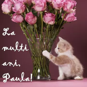 La multi ani, Paula!