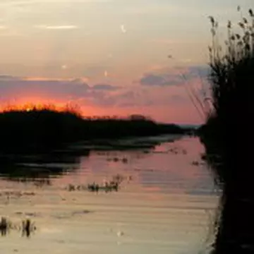 Delta Dunării, un colţ de rai