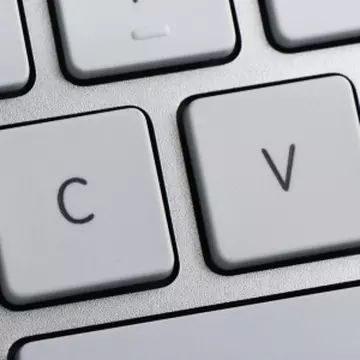 Curriculum vitae potrivit pentru criză