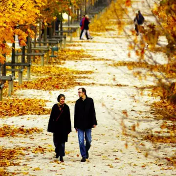 Parcuri din sectorul 4