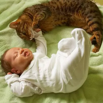 Bebeluşul şi animalul de companie
