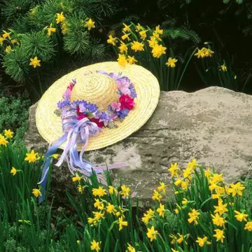 Nu i-a păsat că are un copil…